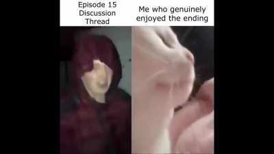 For those few who liked the ending