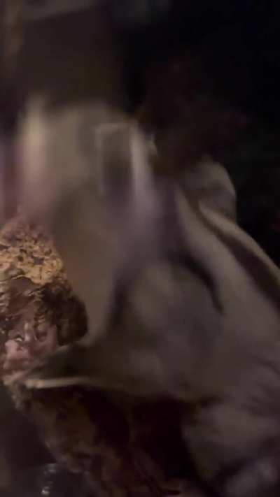 is she okay? what do these sounds means