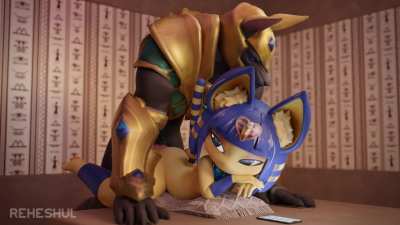 Ankha's a bit busy (Reheshul)