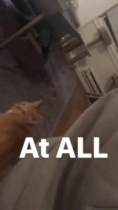 Hair messy, makeup fading - still fine as hell...