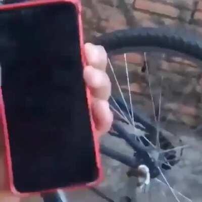 Seria cômico se não fosse triste