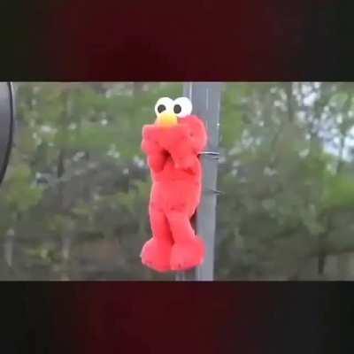 Elmo