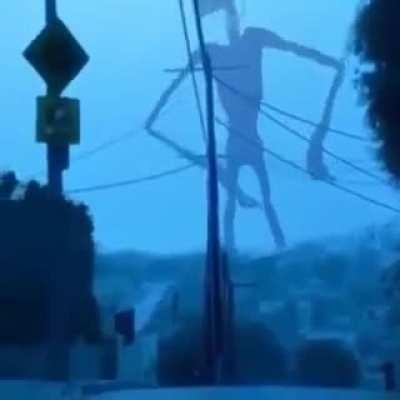 Sirenhead just be vibin tho