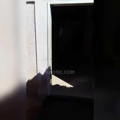 Cool guy shits himself after gun accidentally goes off (Nobody hurt), and the ladies can't get enough