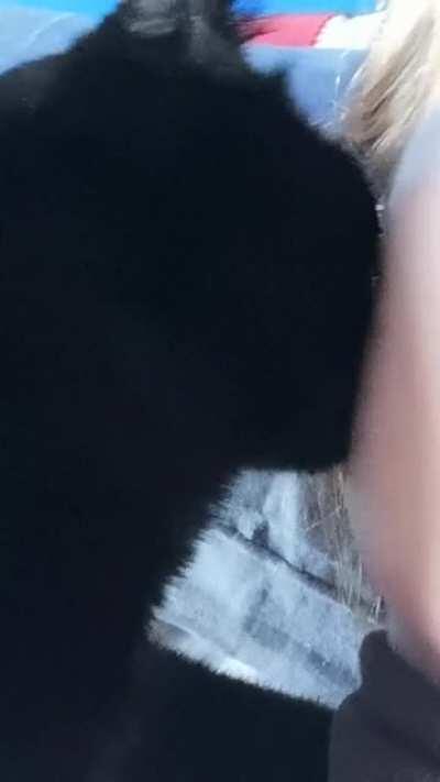 She thinks my earlobe will give her milk