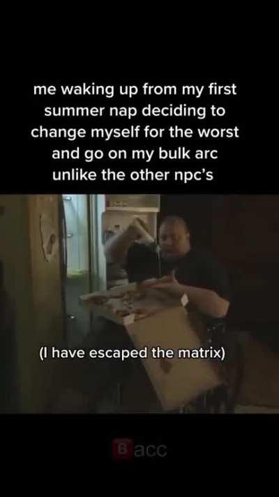 New Summer Story âï¸