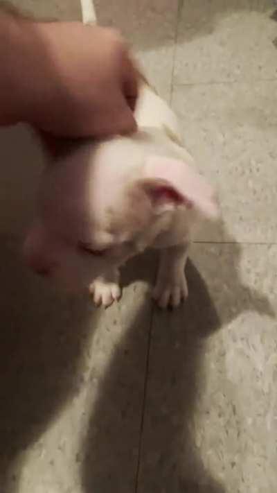 Inmate #112155 A.K.A Winter