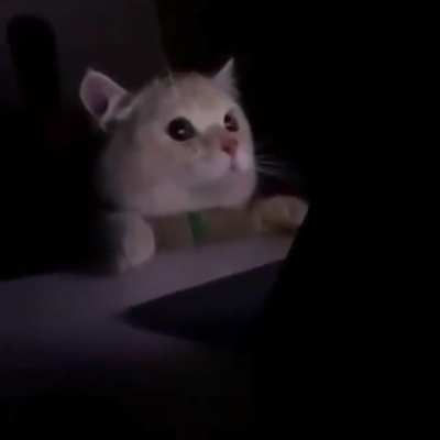 When you inadvertently turn on the light mode