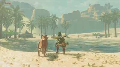 Whenever I have to turn the game off, I find a nice spot for Link to stay. Today, he had company.