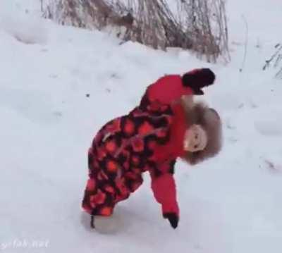 It was safe to say Sprinkles did not like having competition for affection