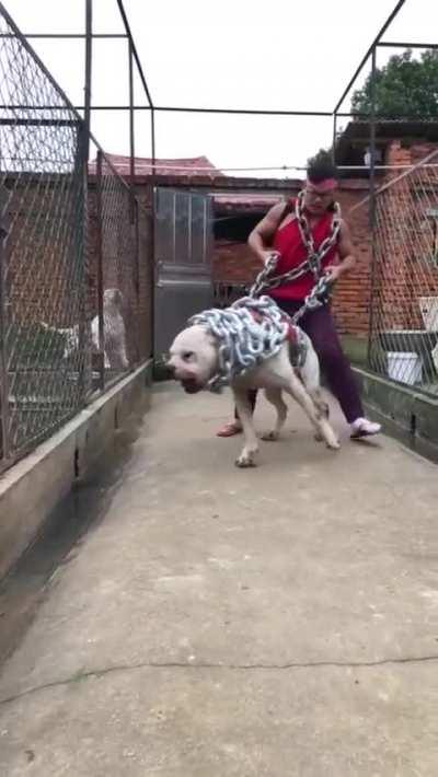 Barabbas the unchained 