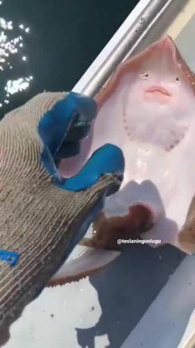 Olum vatozların ağzı varmış lan