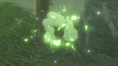 [BoTW] Scared the crap outta me