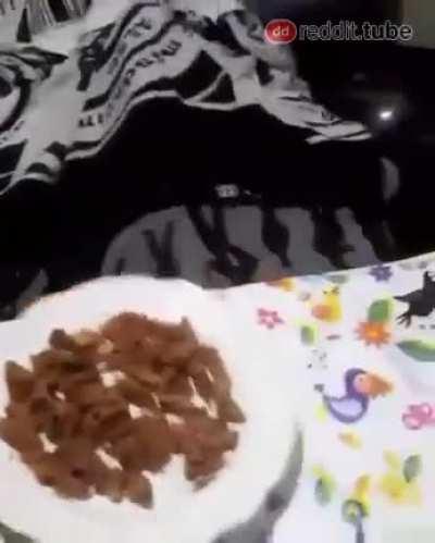 Todo menos la milanga