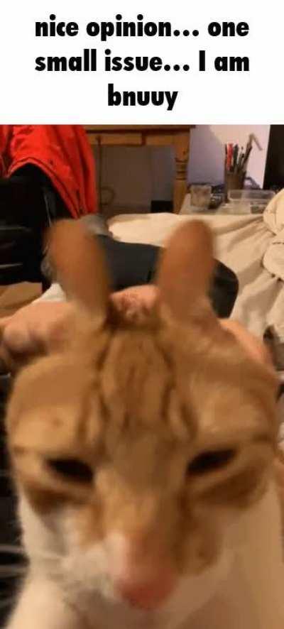 thinking a lot about my old school now