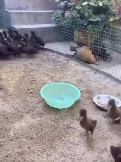 You're not welcomed...