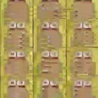 Child Pou Cracked 100% Free Glitch