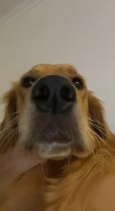 Hello, Tilly wanted to let you all know that you are loved and whatever struggles you’re going through right now will pass. ❤️❤️❤️