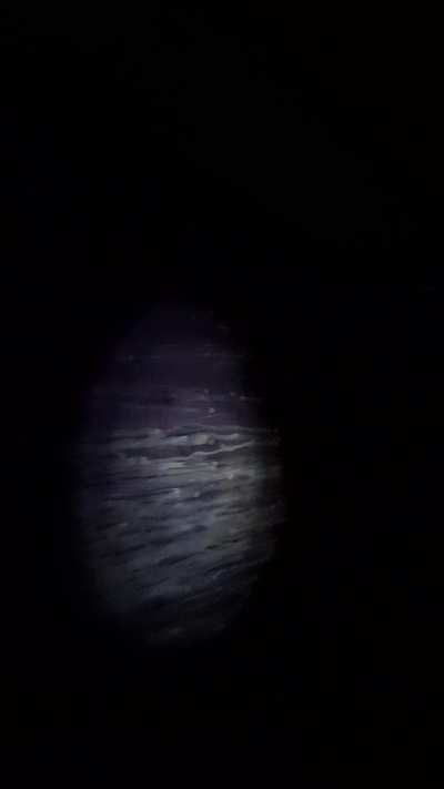 (24) Been tagging this a couple months