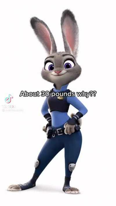 Alfa be like. (Original video by @amirherzberg)