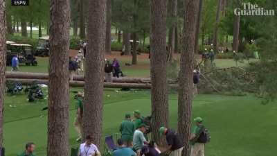 A Nice day at the Masters Augusta.
