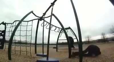 He survived, but won’t have any other survivors