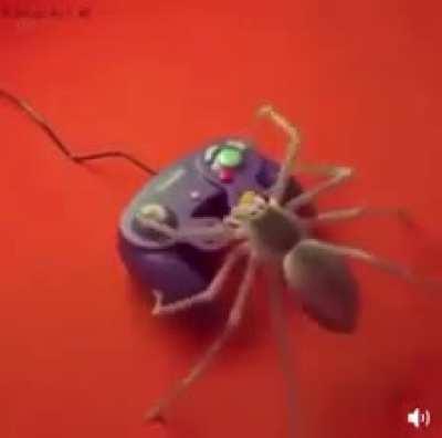 You just got shit on by a spider💀