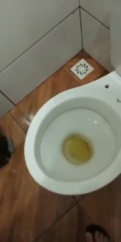 cursed_toilet