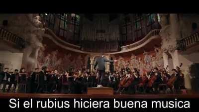 🐖💎🐖💎🐖💎