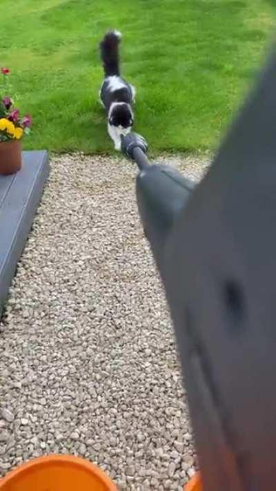 Leonidas tries to murder water