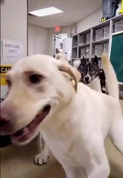 At least there was a sign for it.