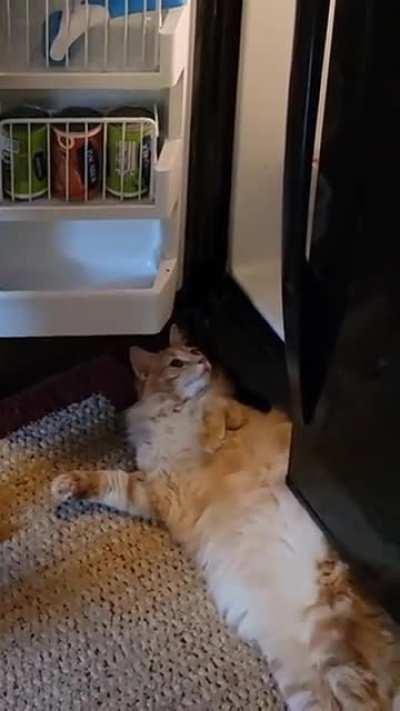 The cell is not in the freezer.