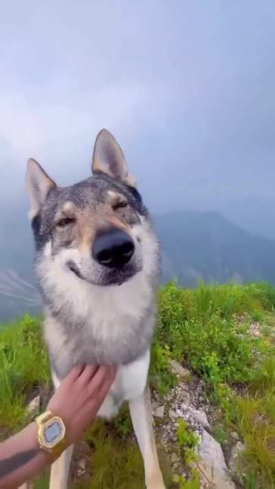 wolpus of joy and merriment