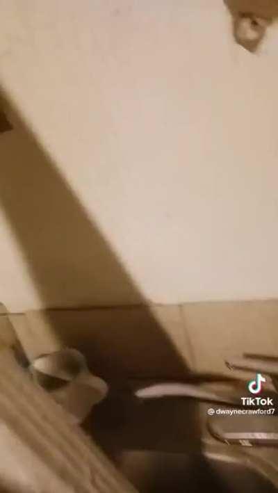 Boom boom skeet skeet