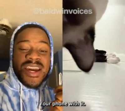 Cat voice over