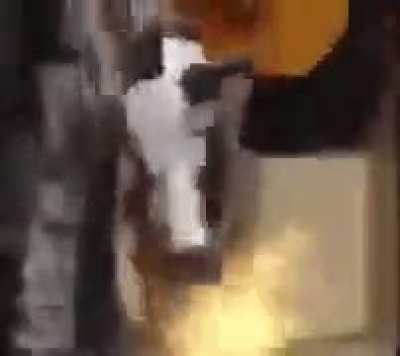 Anti-furs when they see someone dress up as an anthropomorphic animal: (it’s zoophilia for some reason)