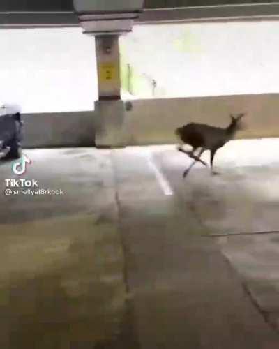 Not knowing what floor you're on.