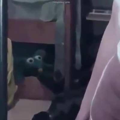 Something else my friend sent me, but I do not agree