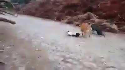 Sometimes you've gotta show them how it feels -_-