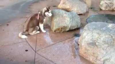 Chose the wrong spot to sit on...