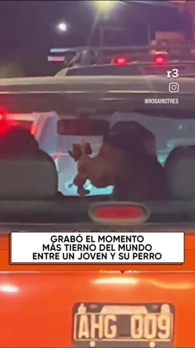 te amo perrito con gorra!