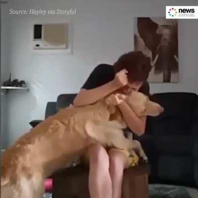 Marley, the autism service dog