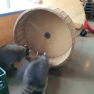 These guys just crack me up...