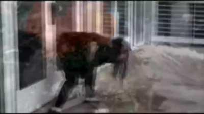 A thespian recites an article by Gersh Kuntsman oh how it feels to fire an AR-15 (YMMV by a lot)