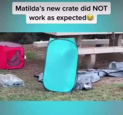 To crate a dog