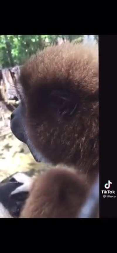 one of the greatest to ever do it