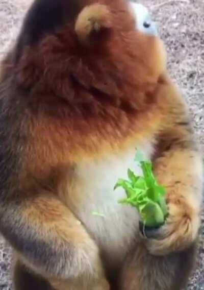 The teacher: you aren't allowed to eat during the lessons. The ones at the back: