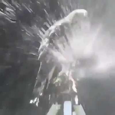 Franklin just says piss on it. Piss on relationships, friendships, hope and dreams. Piss on all of it.