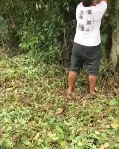 This guy helps a sloth go back to the woods.