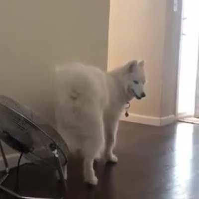 Sometimes your butt just gets hot 😂